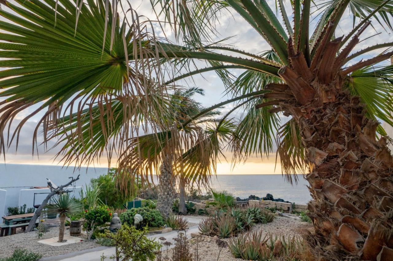 Little Paradise In El Medano กรานาดิลญา เด อาโบนา ภายนอก รูปภาพ